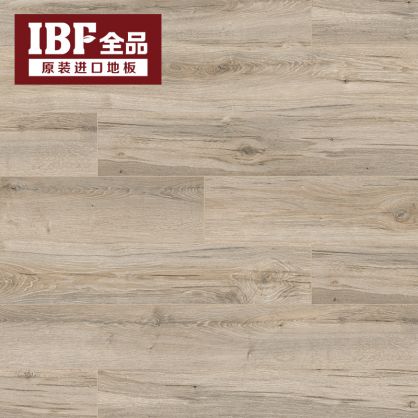 IBF全品地板 风情系列TheOne T10-203  原产地：德国 汉诺威记忆