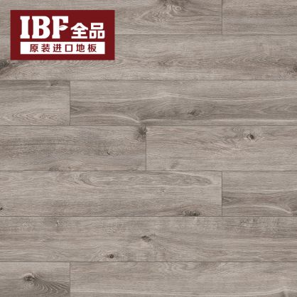 IBF全品地板 风情系列TheOne T10-201  原产地：德国 威廉古堡