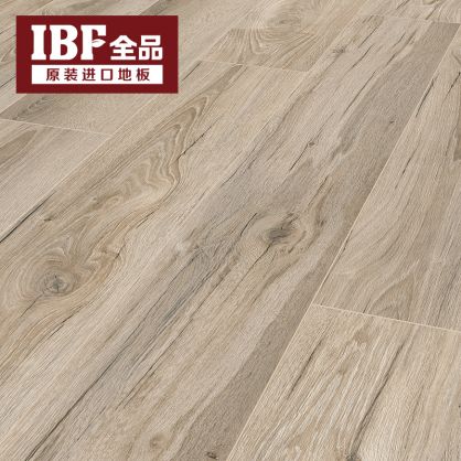 IBF全品地板 风情系列TheOne T10-203  原产地：德国 汉诺威记忆